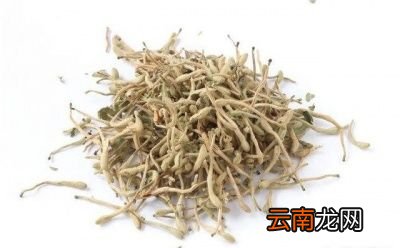 金银花有什么作用