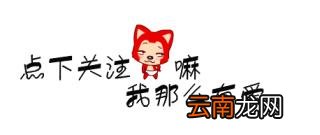 养边牧的禁忌 边牧犬多少钱一只