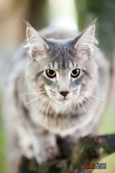 药量1g等于多少mg 1毫克等于多少微克