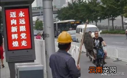 甲鱼有灵气真的不能杀 甲鱼多少钱一斤