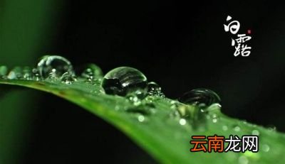 什么时候真正凉快