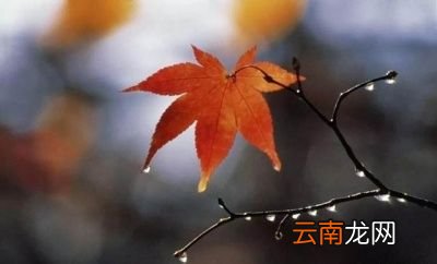 什么时候真正凉快