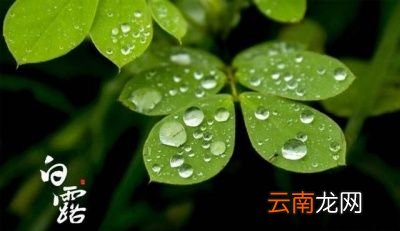 什么时候真正凉快