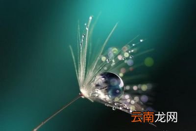 白露养生需要注意什么