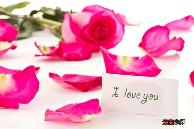 表示感恩的著名诗句 懂得感恩的正能量句子