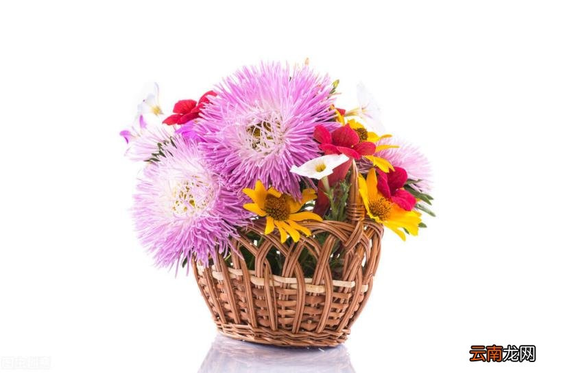 表示感恩的著名诗句 懂得感恩的正能量句子