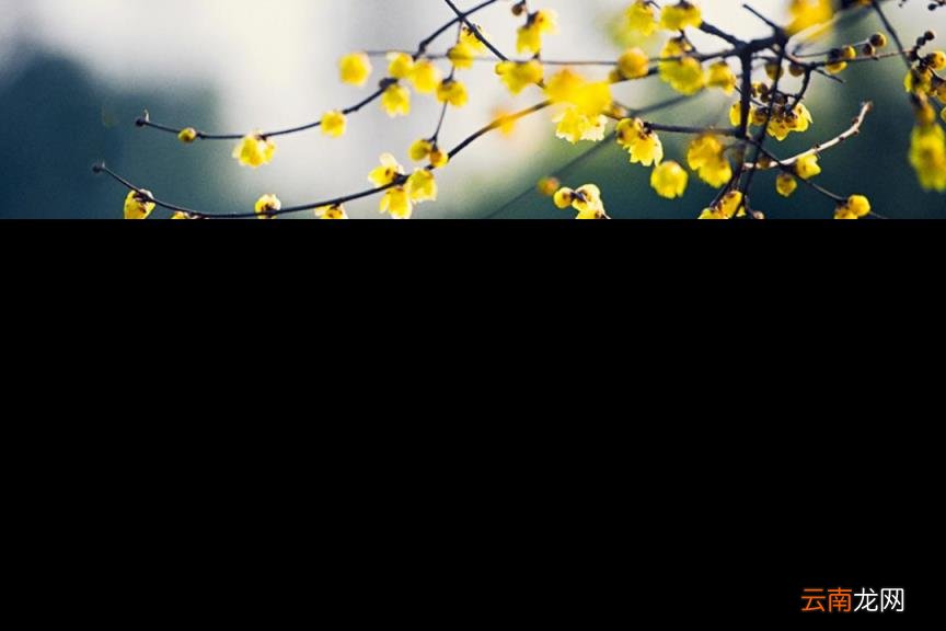 春天到来的诗句有哪些 描写春天的古诗大全