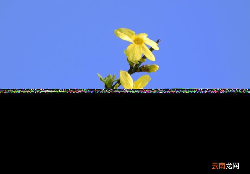 春天到来的诗句有哪些 描写春天的古诗大全