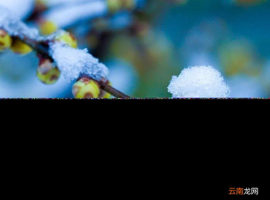 春天到来的诗句有哪些 描写春天的古诗大全