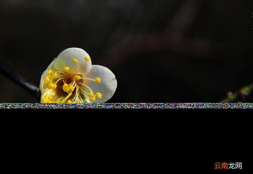 春天到来的诗句有哪些 描写春天的古诗大全