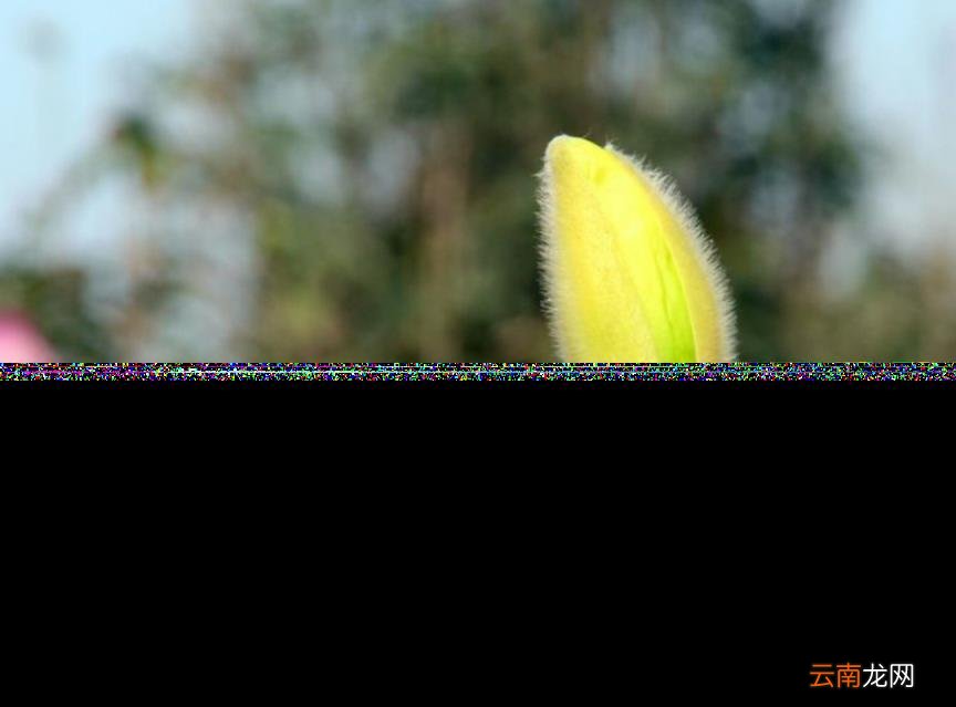 春天到来的诗句有哪些 描写春天的古诗大全