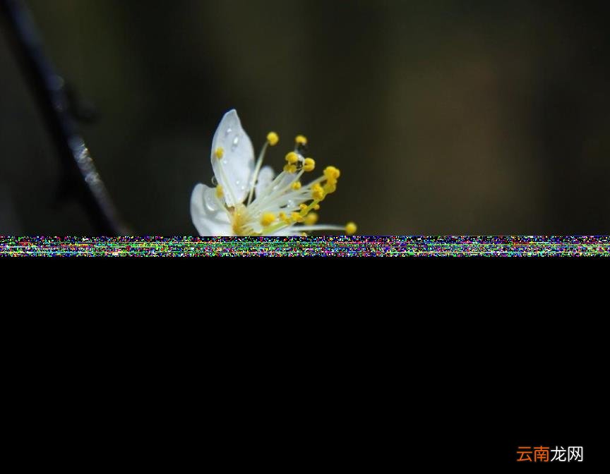 春天到来的诗句有哪些 描写春天的古诗大全