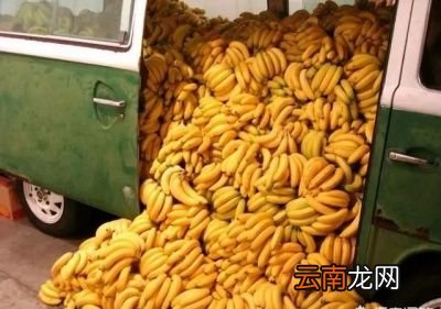 牛油果能火还是消费者买账