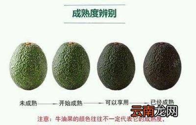 牛油果食用方法推荐