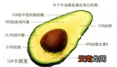 这么好的食物怎么吃不胖