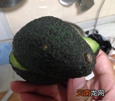 牛油果应该怎么吃