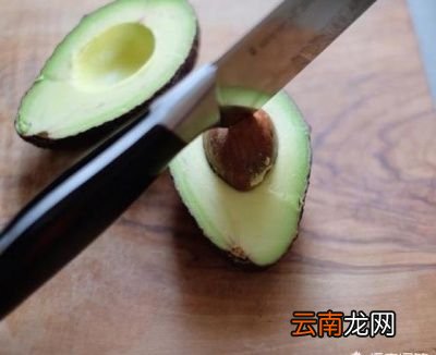 牛油果应该怎么吃
