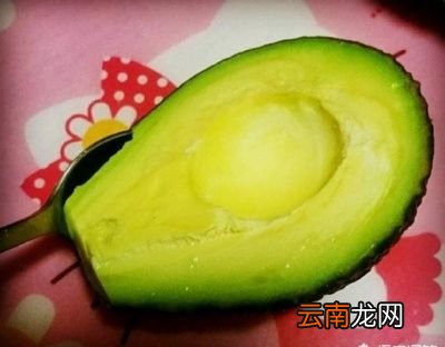 牛油果应该怎么吃