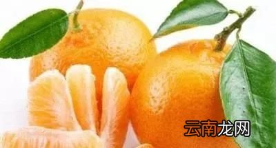 吃橘子有哪些好处