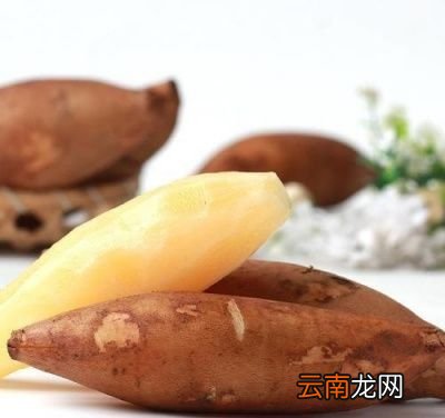 根据雪莲果的营养成分来阐述其功效及作用