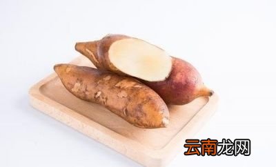 根据雪莲果的营养成分来阐述其功效及作用