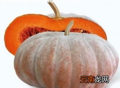 什么样的南瓜甜