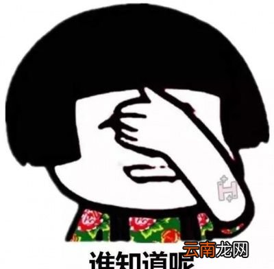 三九贴包治百病吗