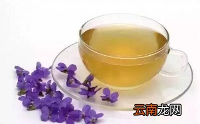 发烧咳嗽吃什么食物好