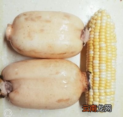 怎么才能做好一道藕炖排骨呢