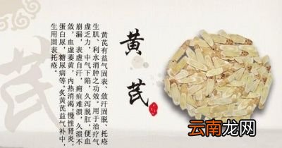 黄芪的药理作用