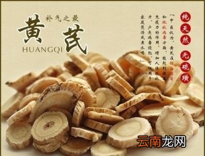 黄芪的药理作用