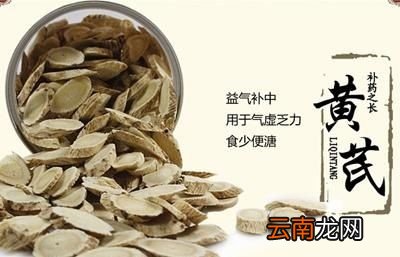 黄芪的药理作用