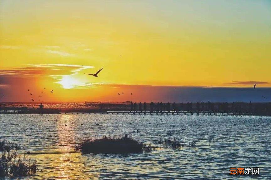 表达思乡的古诗 表达思乡情感的诗