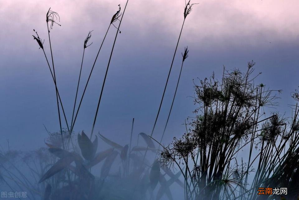 刻画人物的方法有哪些 塑造人物形象的方法