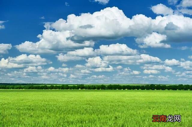 二年级写春天的好句 小学二年级赞美春天的句子