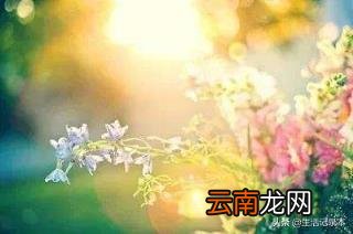 人生如列车的经典语录 人生像车站的经典句子