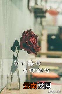 人生如列车的经典语录 人生像车站的经典句子