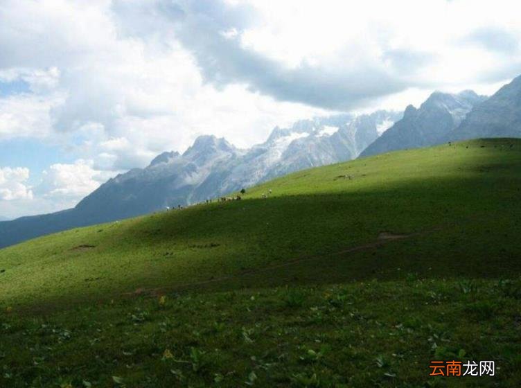 玉龙雪山怎么买票划算 玉龙雪山门票多少钱