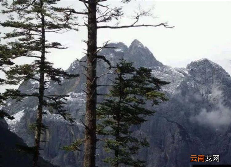 玉龙雪山怎么买票划算 玉龙雪山门票多少钱