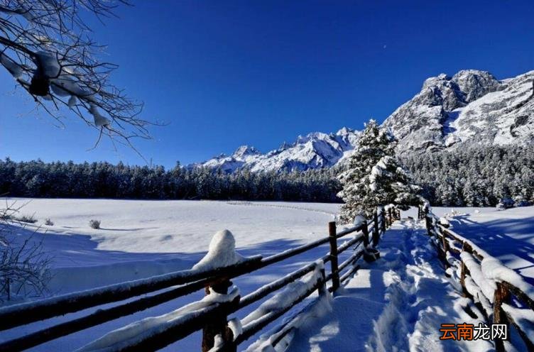 玉龙雪山怎么买票划算 玉龙雪山门票多少钱