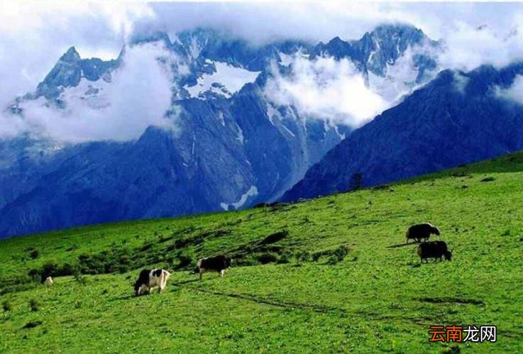 玉龙雪山怎么买票划算 玉龙雪山门票多少钱