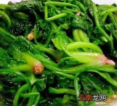 鱼头豆腐汤到底可不可以放菠菜