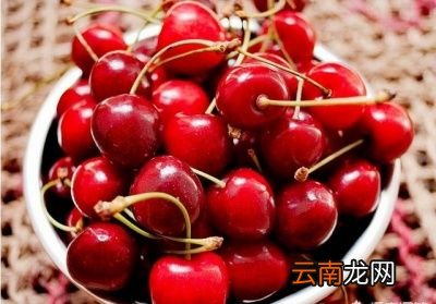 能够吃车厘子吗