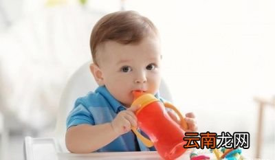 能够吃车厘子吗