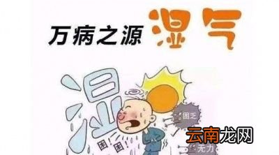 怎样才能有效的去除湿气拔血罐真的管用吗