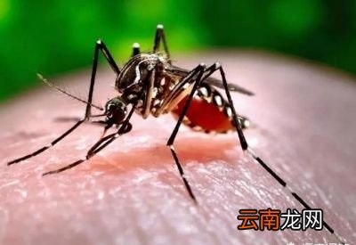 孕妇可以用花露水吗