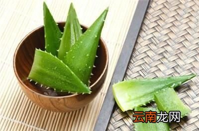 孕妇在夏季怎么驱蚊呢