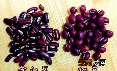 赤小豆薏米粥做法