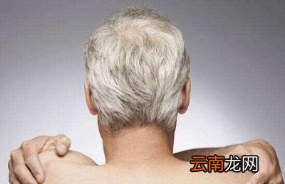 黑豆泡醋可以让白发转黑吗