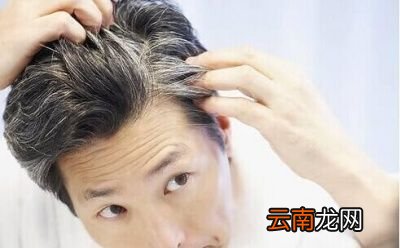 黑豆泡醋可以让白发转黑吗